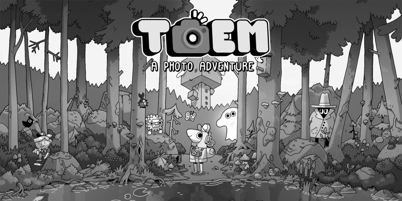 toem switch review